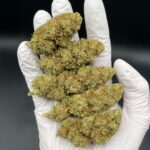 Lemon Haze ++ CBD 5G | Flor Indoor 15-17% CBD