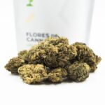 Sour Diesel ++ CBD 7GR | Flor CBD Premium 10%